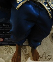 beauty beast blue e
